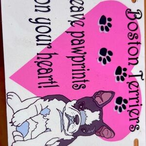 Car tag Boston terrier